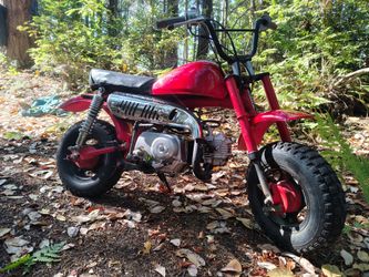 1982 z5o