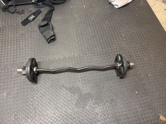 Ez Curl Bar With 95 Lbs Weight