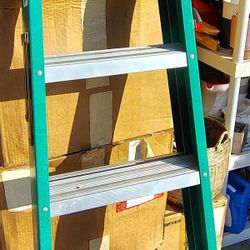 Werner F206 Type II 6' Fiberglass Step Ladder