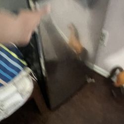 Mini Fridge 