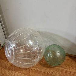 Big Hamster Ball