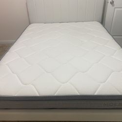 Queen Bed Frame And Mattress 