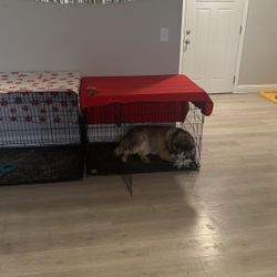 Large Dog Crate