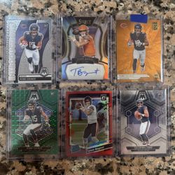 Bears Card Lot