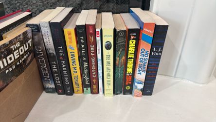 chapter book