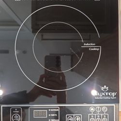 Duxtop Induction Burner