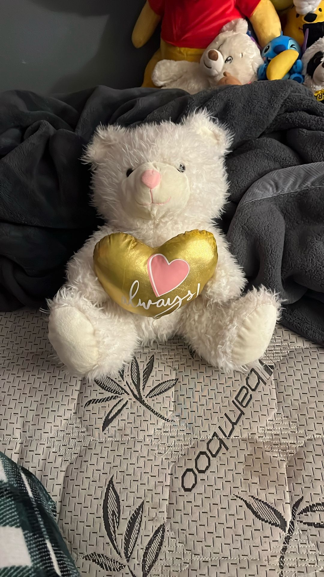 White Teddy Bear
