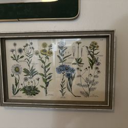 Framed art