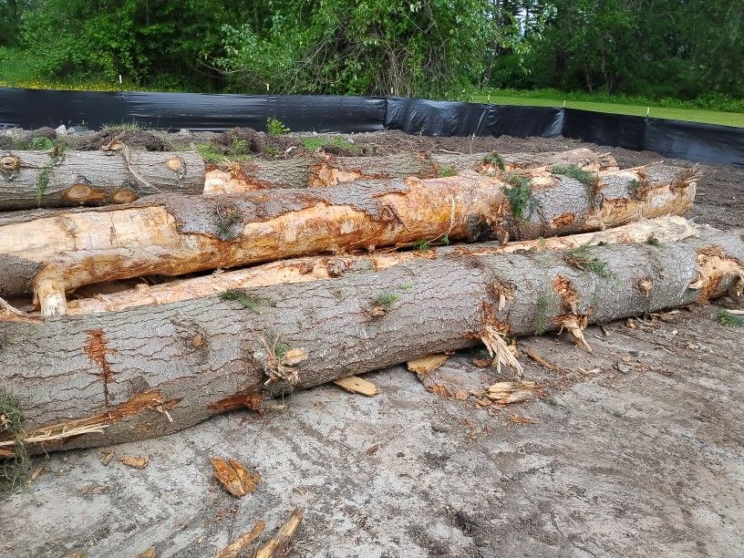 Fir Logs Ruffly 2000 Feet