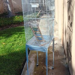 Bird Cage 