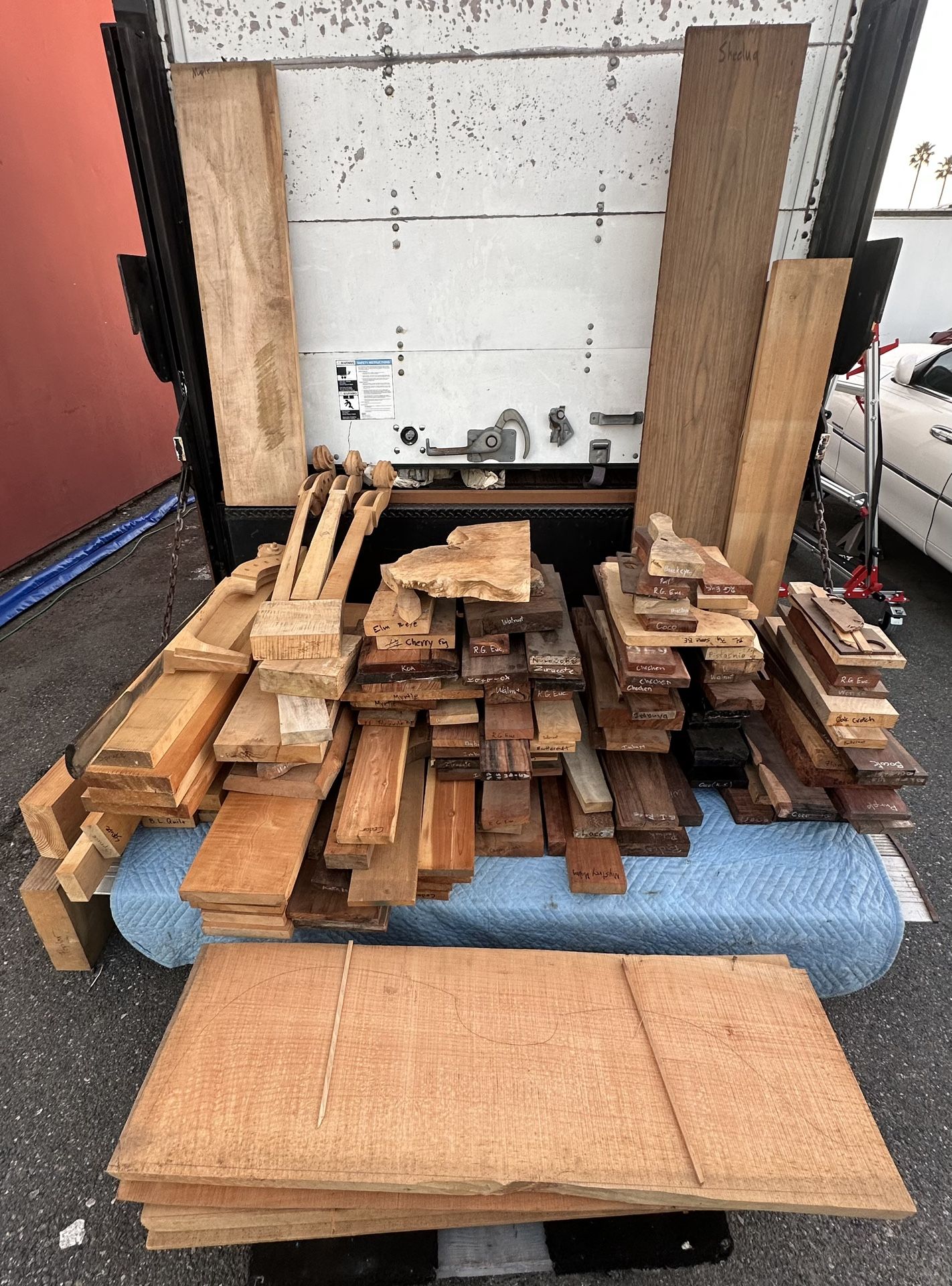 Rare and Exotic Wood Collection Woodworking Luthier