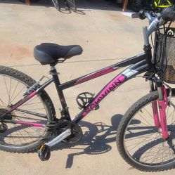 Schwinn Sidewinder 