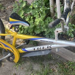 Trek Mountain Train 20 Foldable Tag Along Trailer for kids with hitch