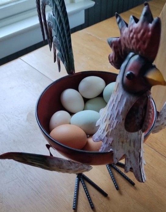 Fresh Chicken Eggs