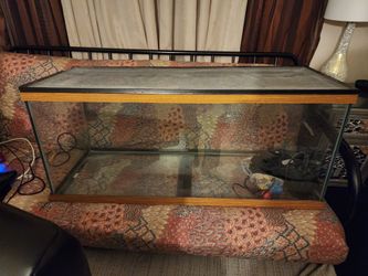 Fish tank