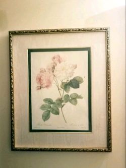 Large Framed Picture