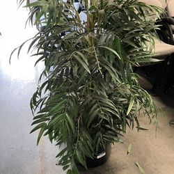 Tree / Artificial Palm Tree 