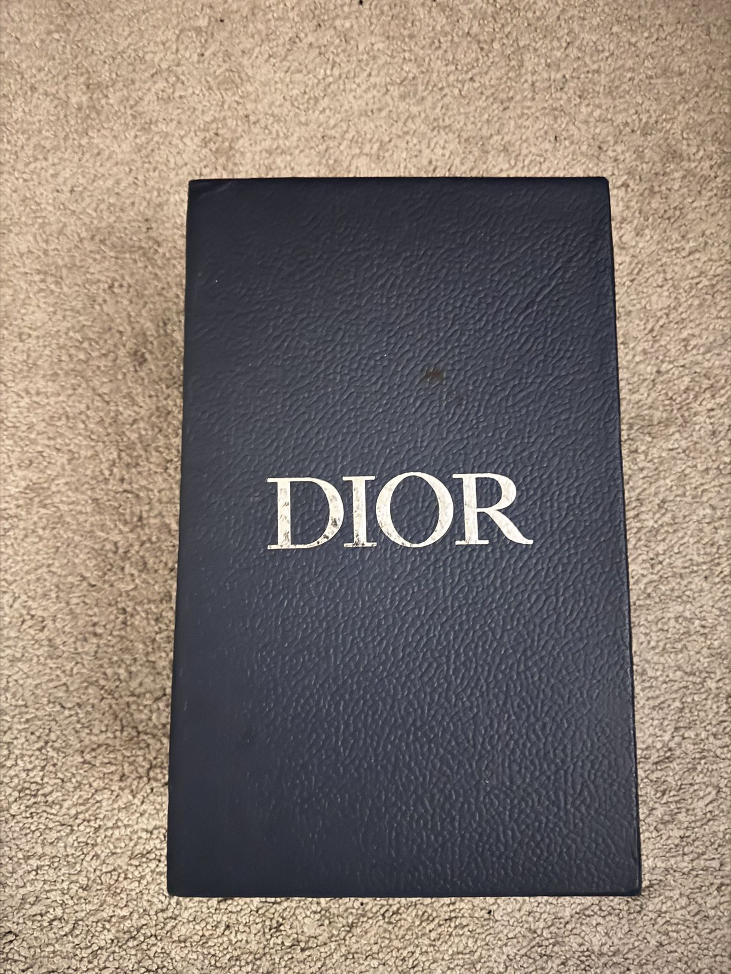 Dior slides