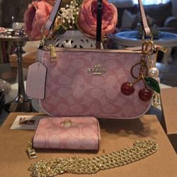 Coach Purse 1 To 1