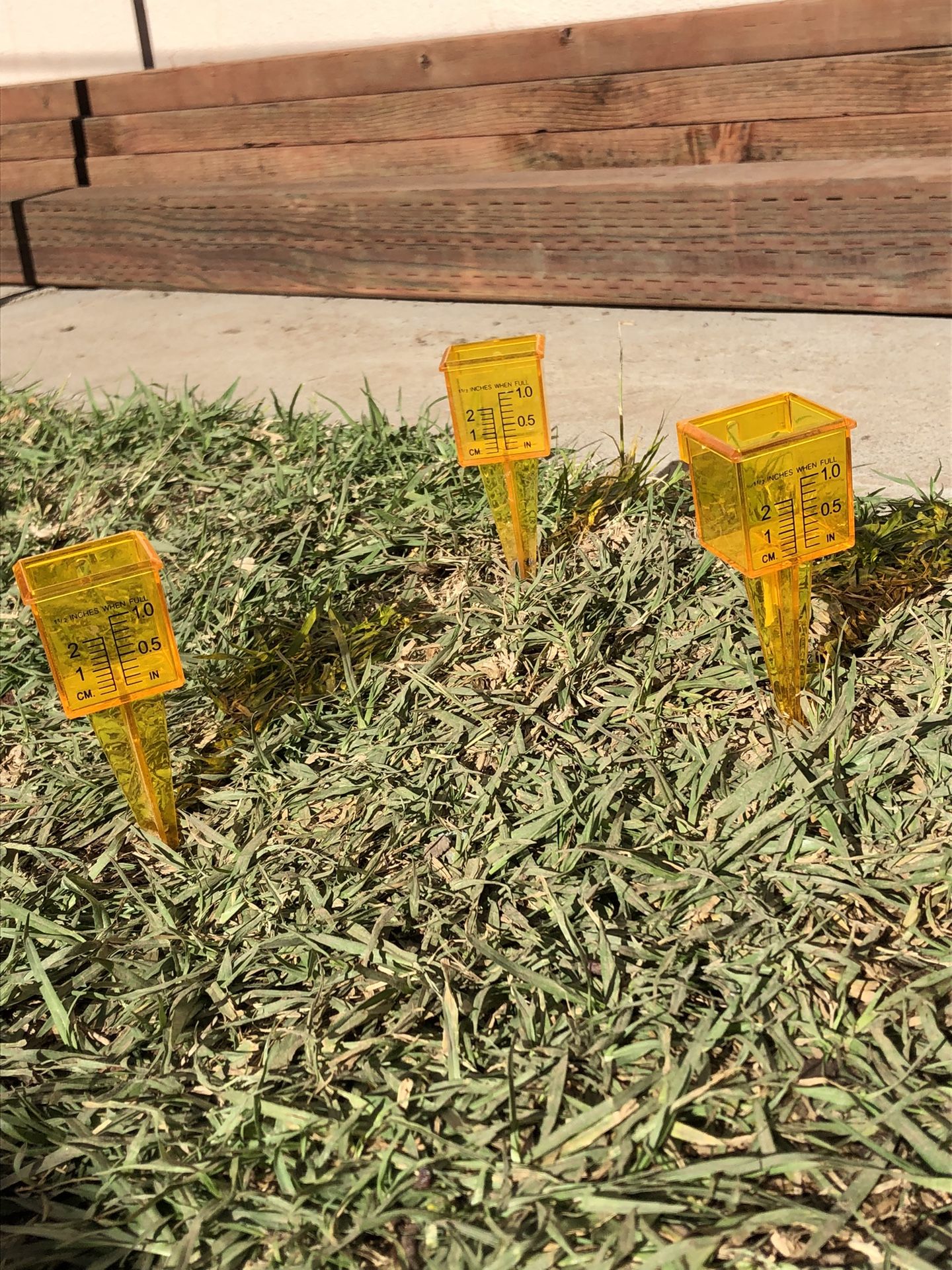 10 Pack, Rain/sprinkler Gauge