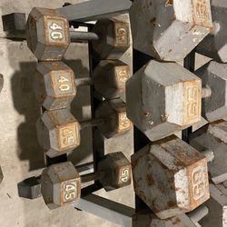 Gym Equipment 