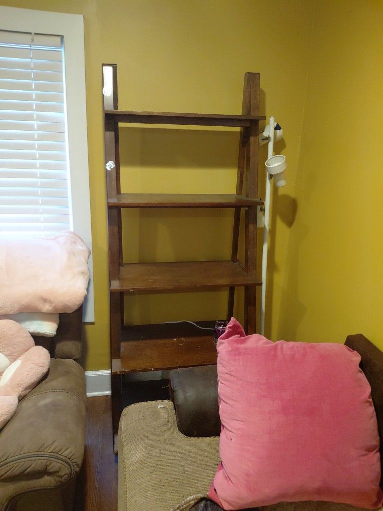 Shelf Ladder