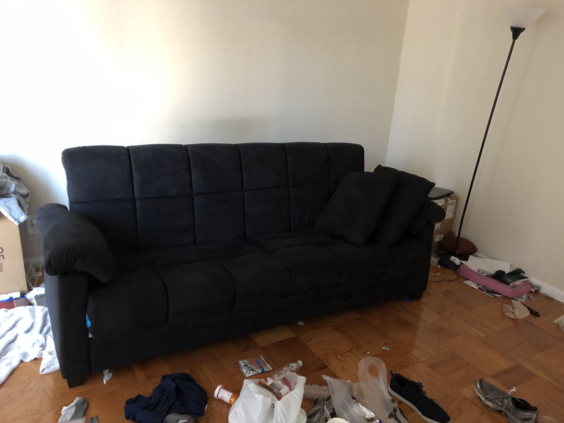FREE Sleeper Sofa—Must Pick up Saturday by 11am