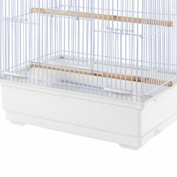 Cotorritos Buscando Nuevo Hogar 