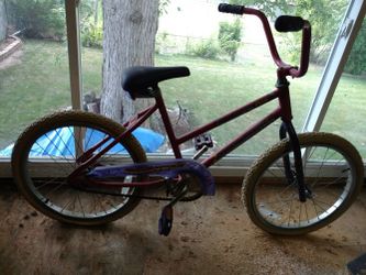 20" Girls Roadmaster Bike _