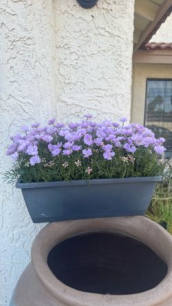 Artificial plant