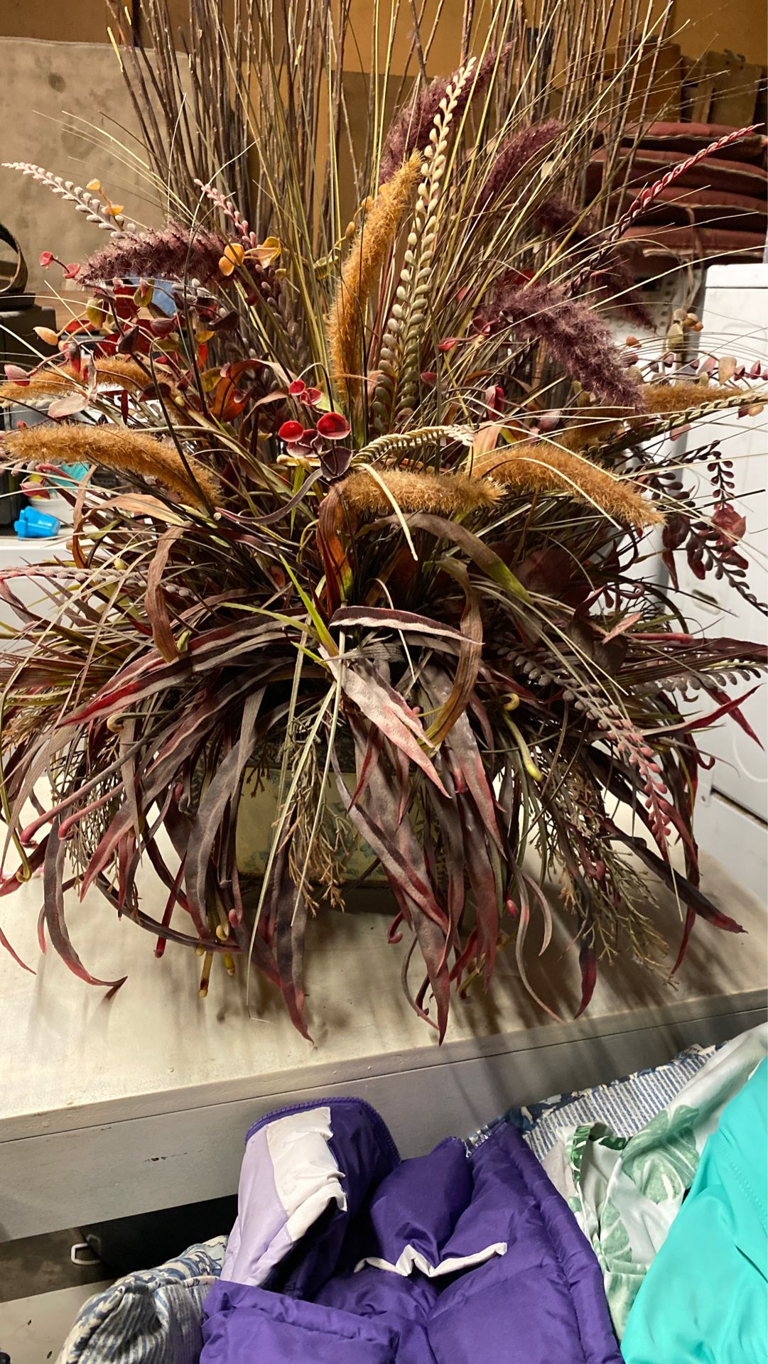 Plant