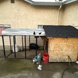 Dog House With Kennel Need Gone Asap $300 