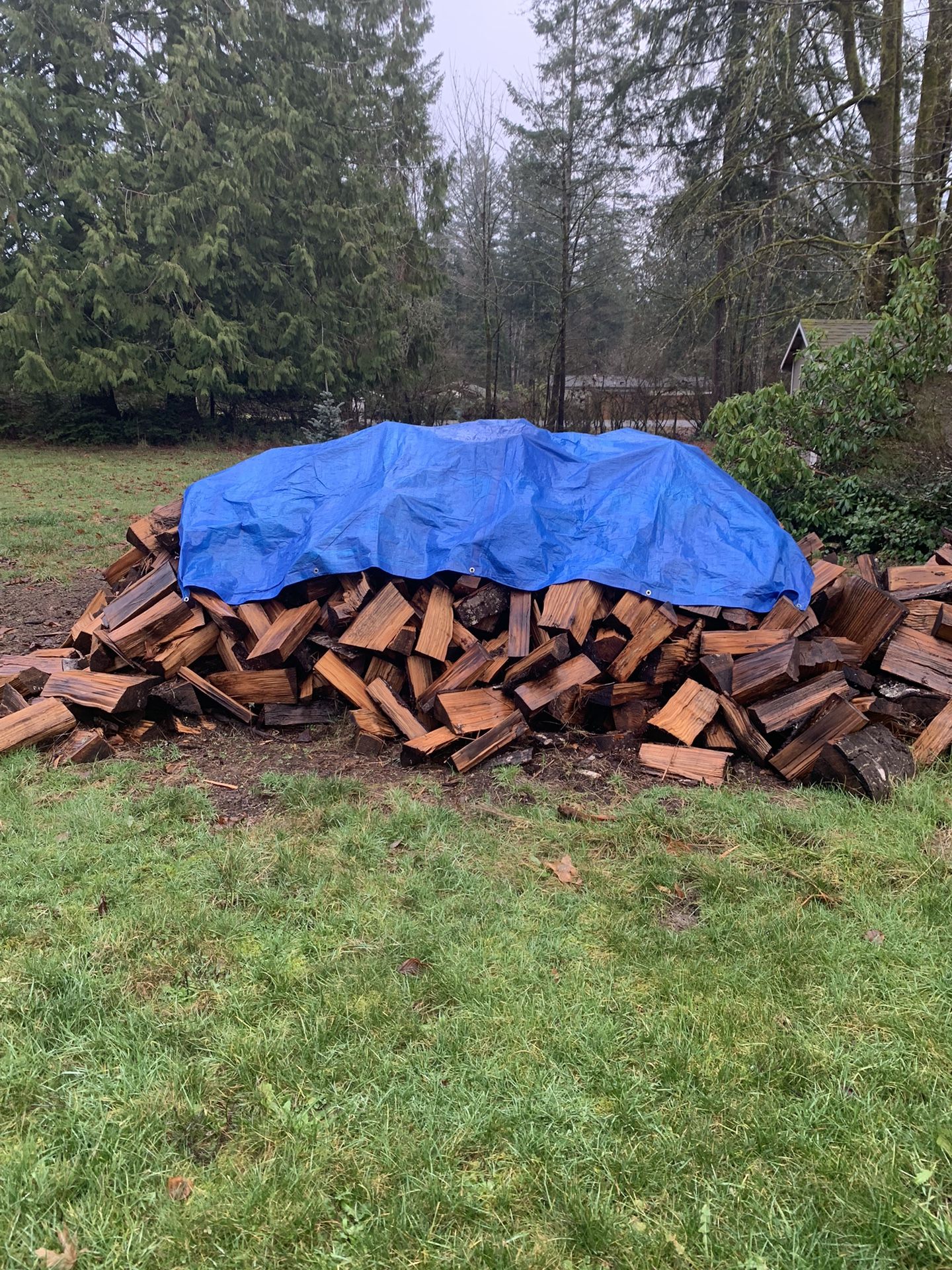 Fire Wood / Firewood
