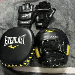 Taek Wondo Gloves With Mini Mitts