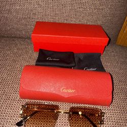 Cartier CT00920 Sunglasses With Gold Accents