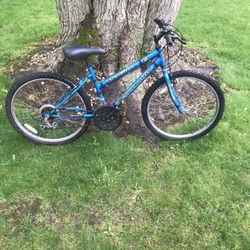 24” Mountain Bike (roadmaster)