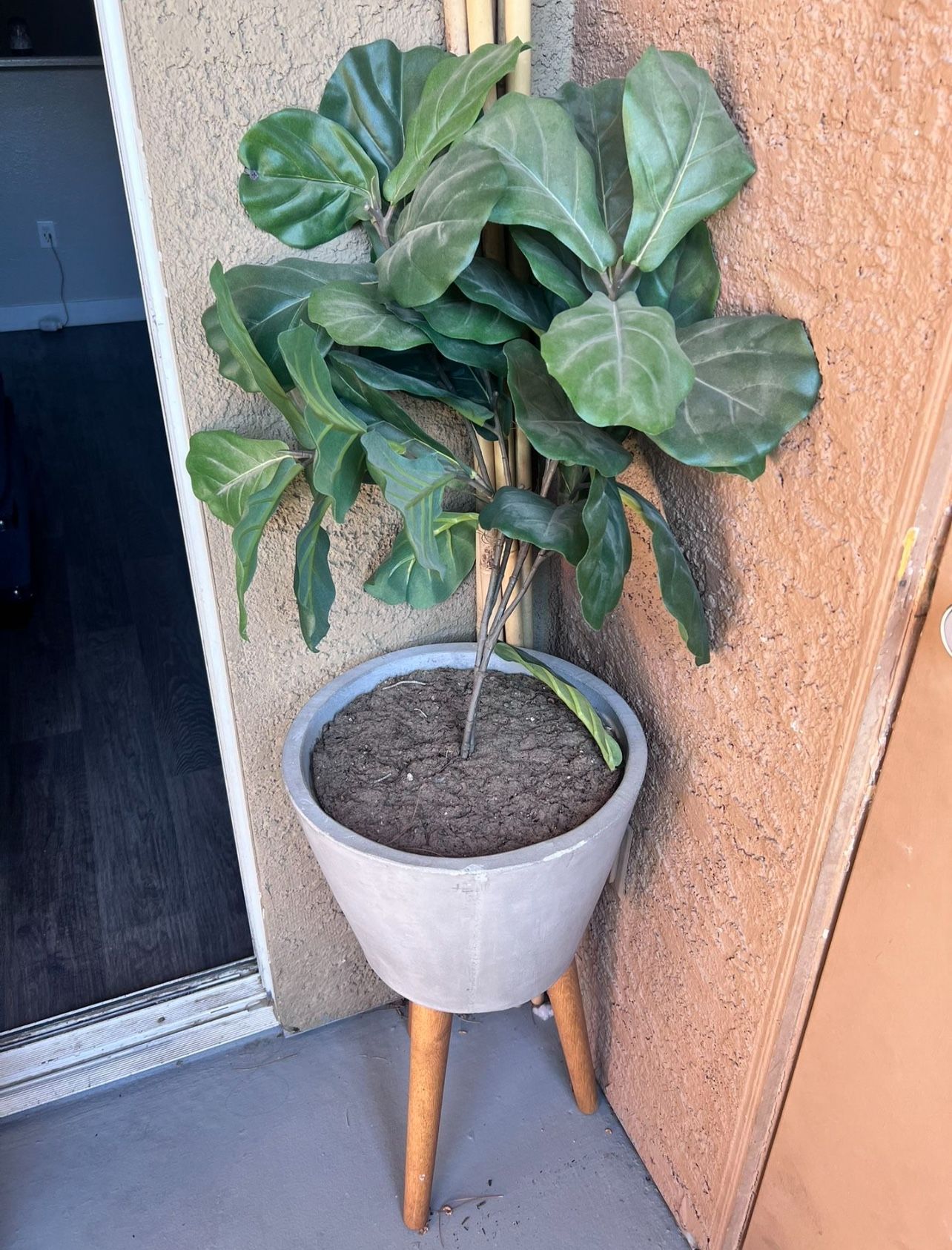 Fake Plant