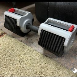 Dumbbell adjustable