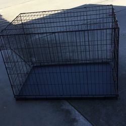 Large Dog Kennel