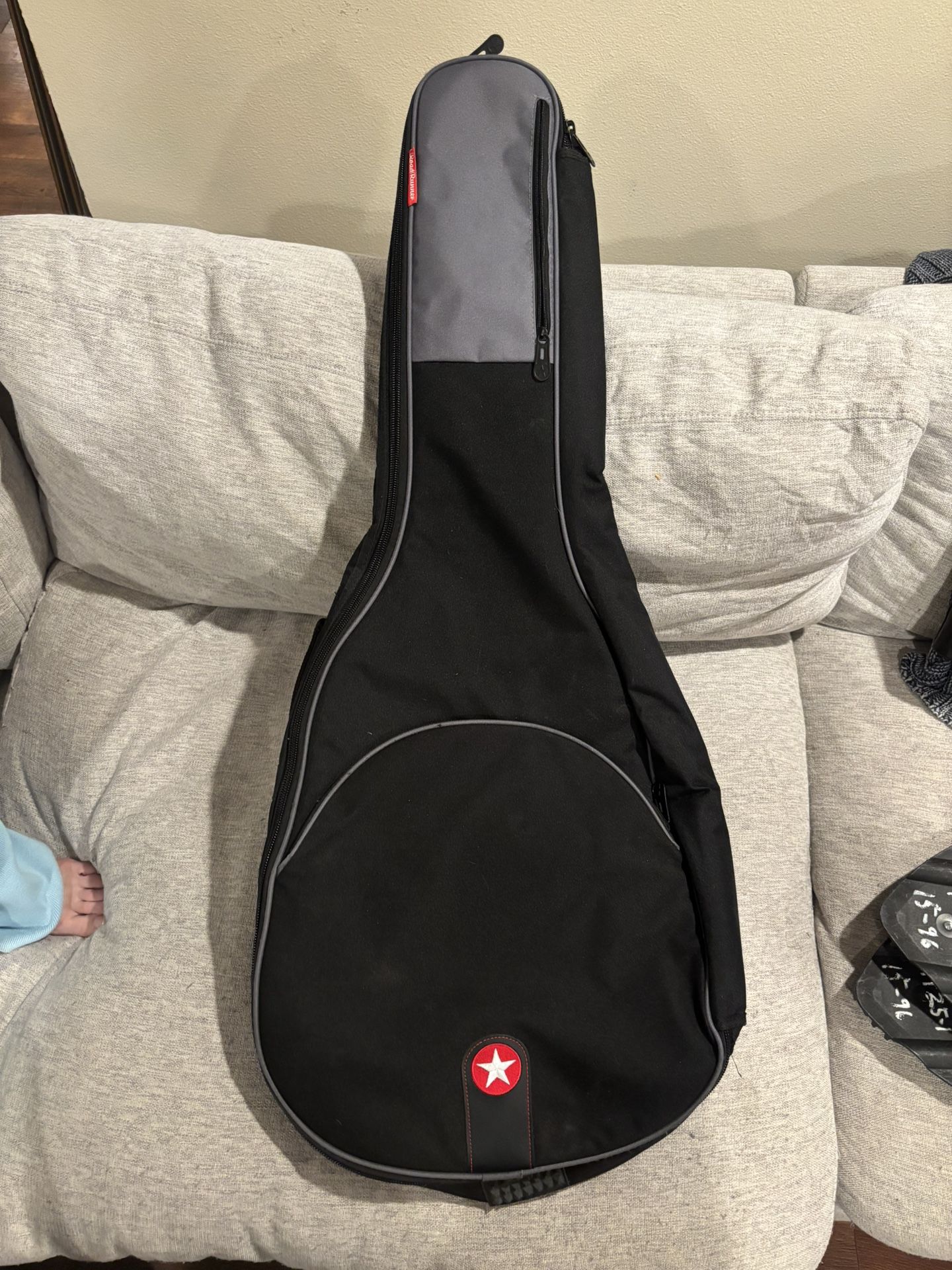 Road Runner avenue Gig Bag
