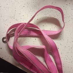 Pet Leash 