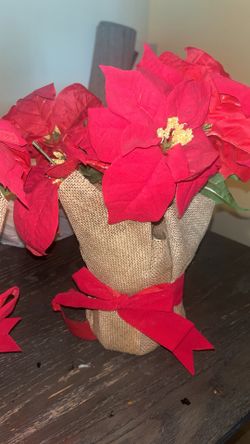 Christmas Decor