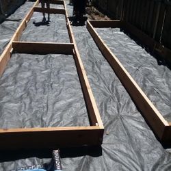 Organic Garden Beds 