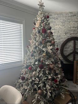 King Of Christmas Tree 7.5ft