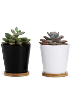 Greenaholics Succulent Pots - 4.3 Inch Cylinder Ceramic Planters, with Drainage Hole and Bamboo Trays, White&Black, Set of 2