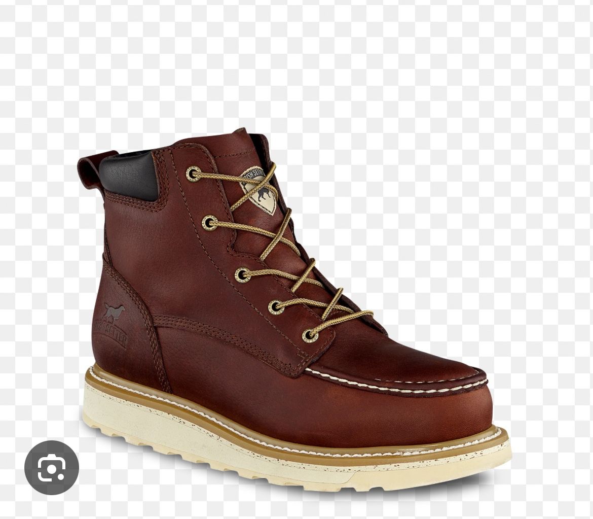 Red Wings Irish Setters