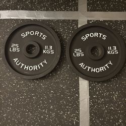 Two 25lb Olympic Plates 