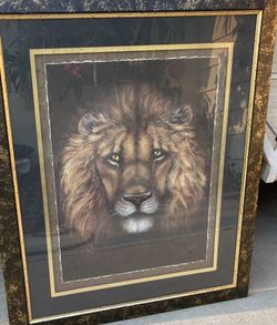 Picture frame of a lion