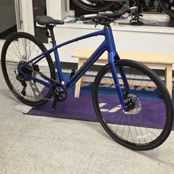 10 Speed Hybrid Bike