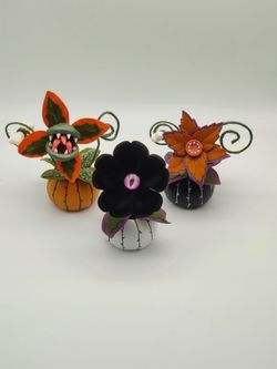 Hide & EEK! Boutique Succulents (Orange, White & Black)